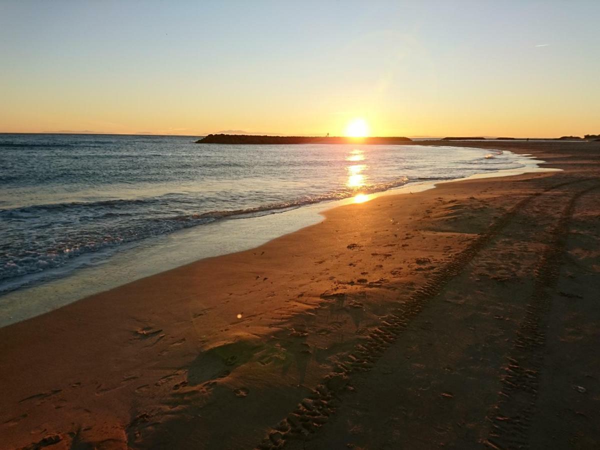 Residence Aquaplage 45M2 Front De Mer Plage Richelieu Agde Dış mekan fotoğraf
